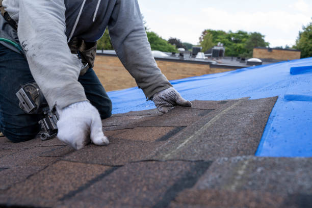 Best Commercial Roofing Services  in Tanglewilde, WA