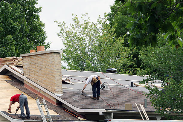 Best Storm Damage Roof Repair  in Tanglewilde, WA